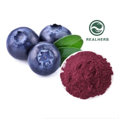 Borovničev sok v prahu